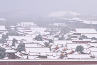 बेइजिङमा व्यापक हिमपात, सडक यातायात प्रभावित, विद्यालय बन्द