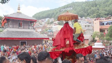 ऐतिहासिक भगवती जात्रा आज, राष्ट्रपति आउनुहुँदै